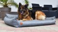 DSC_0402.JPG