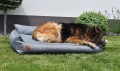 DSC_0392.JPG