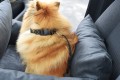DSC_0239.JPG