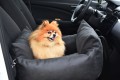 DSC_0218.JPG