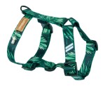 Guard harness XL forest