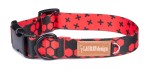 Collar with buckle M hexagon
