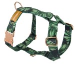 Guard harness XL forest GOLD