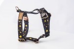 Guard harness XL stars GOLD