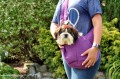 torba nosidło dla psa i kota lauren design 29.JPG