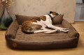 DSC_0478.JPG