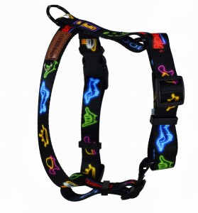 Szelki guard neon